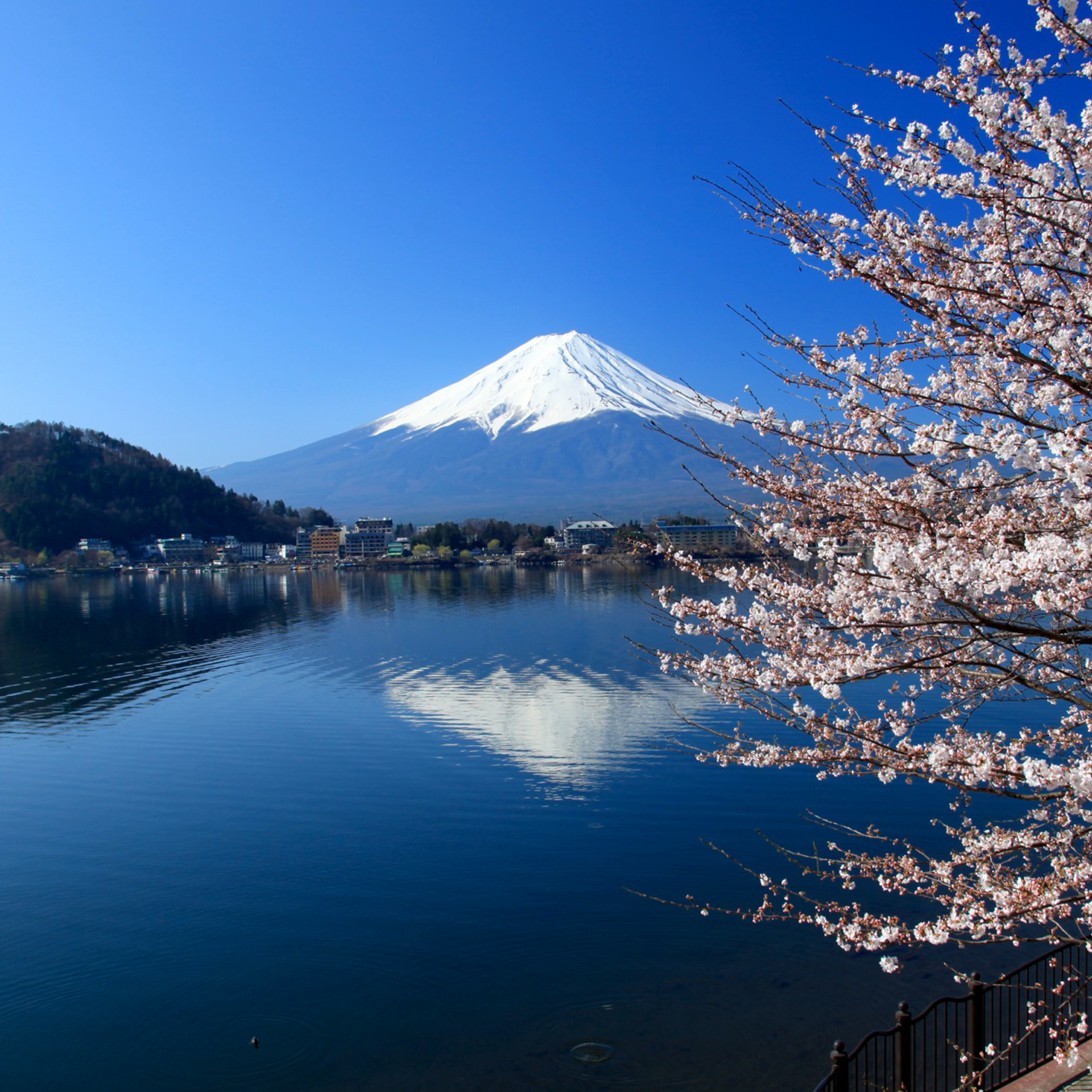 Japan